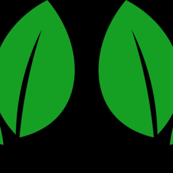 11 Leaves Thumbnail