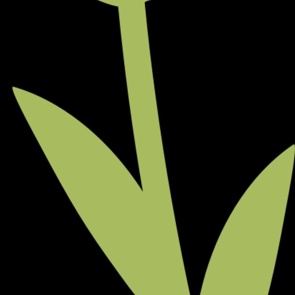 20 Flower Thumbnail