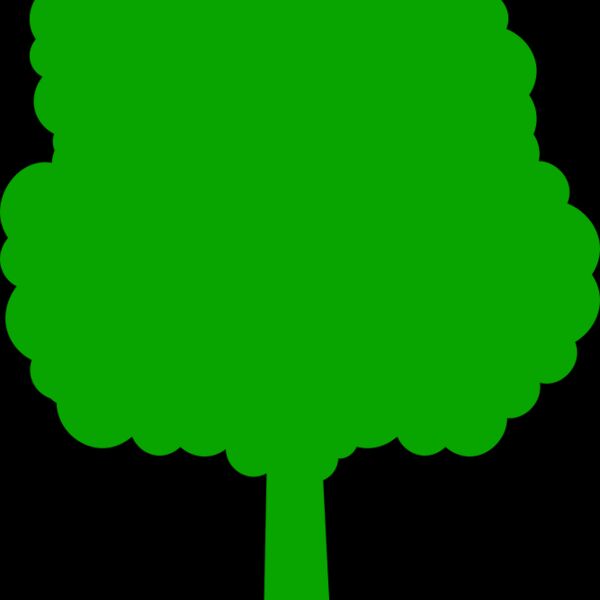 41 Tree Thumbnail