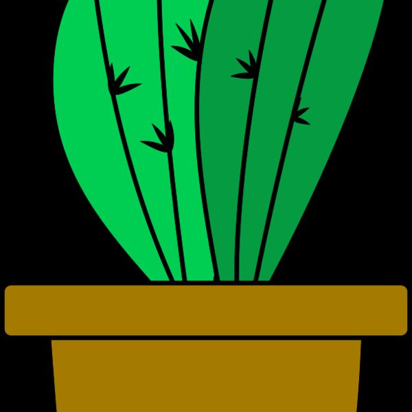 Cactus 4 Thumbnail