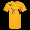 Men's Gold Soft Touch T-Shirt Thumbnail