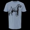 6500M - Best Value Ringspun Garment-Dyed T-Shirt Thumbnail