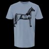 6500M - Best Value Ringspun Garment-Dyed T-Shirt Thumbnail
