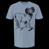 6500M - Best Value Ringspun Garment-Dyed T-Shirt Thumbnail