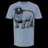 6500M - Best Value Ringspun Garment-Dyed T-Shirt Thumbnail