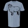 6500M - Best Value Ringspun Garment-Dyed T-Shirt Thumbnail
