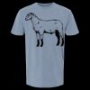 6500M - Best Value Ringspun Garment-Dyed T-Shirt Thumbnail