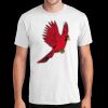 PC450 - Port and Company Fan Favorite Tee  Thumbnail
