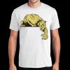 PC450 - Port and Company Fan Favorite Tee  Thumbnail