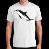 PC450 - Port and Company Fan Favorite Tee  Thumbnail