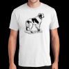 PC450 - Port and Company Fan Favorite Tee  Thumbnail