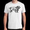 PC450 - Port and Company Fan Favorite Tee  Thumbnail