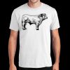 PC450 - Port and Company Fan Favorite Tee  Thumbnail