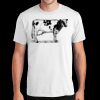 PC450 - Port and Company Fan Favorite Tee  Thumbnail