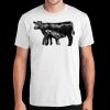 PC450 - Port and Company Fan Favorite Tee  Thumbnail