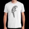 PC450 - Port and Company Fan Favorite Tee  Thumbnail