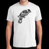 PC450 - Port and Company Fan Favorite Tee  Thumbnail