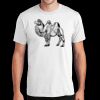 PC450 - Port and Company Fan Favorite Tee  Thumbnail