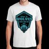PC450 - Port and Company Fan Favorite Tee  Thumbnail