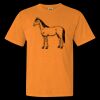 1717 - Comfort Colors Garment Dyed Heavyweight Short Sleeve Shirt Thumbnail