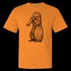 1717 - Comfort Colors Garment Dyed Heavyweight Short Sleeve Shirt Thumbnail