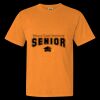 1717 - Comfort Colors Garment Dyed Heavyweight Short Sleeve Shirt Thumbnail