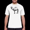 TT11 - 100% Polyester Moisture Wicking UV40+ Unisex Performance T-Shirt Thumbnail
