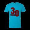 3600 - Next Level Premium Short Sleeve Crew Thumbnail