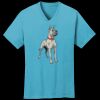 PC54V - Best Value 100% Cotton V-Neck Tee Thumbnail