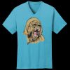 PC54V - Best Value 100% Cotton V-Neck Tee Thumbnail