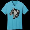 PC54V - Best Value 100% Cotton V-Neck Tee Thumbnail