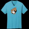 PC54V - Best Value 100% Cotton V-Neck Tee Thumbnail