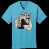 PC54V - Best Value 100% Cotton V-Neck Tee Thumbnail