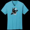 PC54V - Best Value 100% Cotton V-Neck Tee Thumbnail