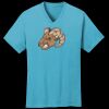 PC54V - Best Value 100% Cotton V-Neck Tee Thumbnail