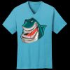PC54V - Best Value 100% Cotton V-Neck Tee Thumbnail
