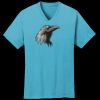 PC54V - Best Value 100% Cotton V-Neck Tee Thumbnail