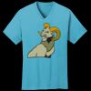 PC54V - Best Value 100% Cotton V-Neck Tee Thumbnail