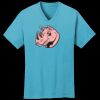 PC54V - Best Value 100% Cotton V-Neck Tee Thumbnail