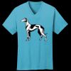 PC54V - Best Value 100% Cotton V-Neck Tee Thumbnail