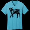 PC54V - Best Value 100% Cotton V-Neck Tee Thumbnail