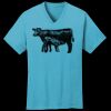 PC54V - Best Value 100% Cotton V-Neck Tee Thumbnail