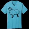 PC54V - Best Value 100% Cotton V-Neck Tee Thumbnail