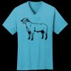 PC54V - Best Value 100% Cotton V-Neck Tee Thumbnail