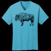 PC54V - Best Value 100% Cotton V-Neck Tee Thumbnail