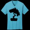 PC54V - Best Value 100% Cotton V-Neck Tee Thumbnail