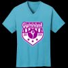 PC54V - Best Value 100% Cotton V-Neck Tee Thumbnail