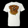 Unisex DryBlend® T-Shirt Thumbnail
