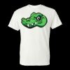 Unisex DryBlend® T-Shirt Thumbnail
