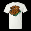 Unisex DryBlend® T-Shirt Thumbnail